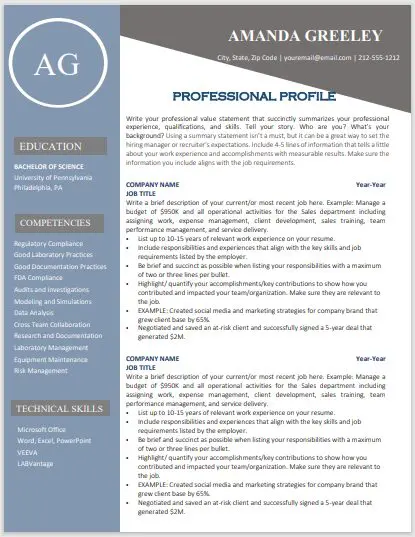 An example of a professional resume template.