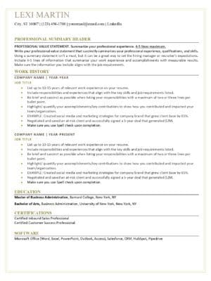 An example of a Graceland Resume Template for a customer service representative.