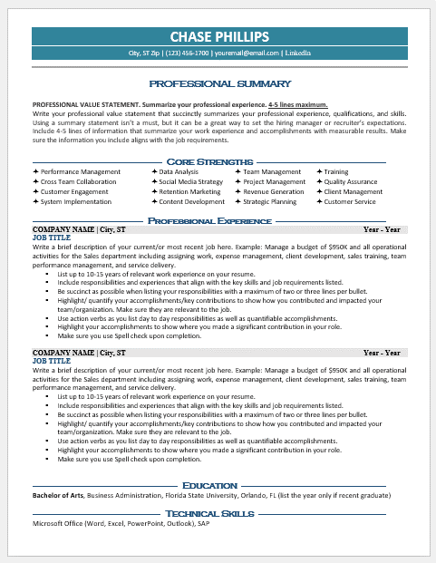 An example of a professional MS Word resume template.