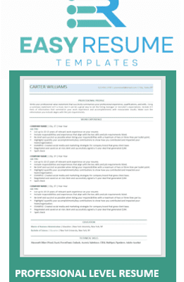 An easy resume template for a Professional Level Resume.