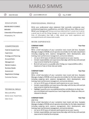 An example of the Amalfi Resume Template