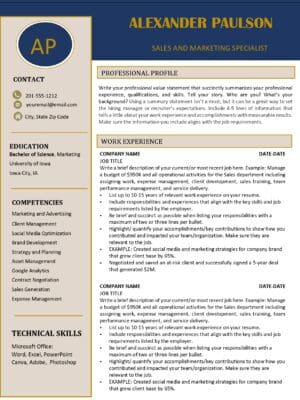 A Platinum Resume Template with a blue and gold background.